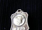 FFA Chapter (Silver) Beef Production Award Pin;