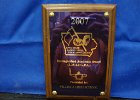 #690/1037: 2007, S = Dance; Academic, State, ISD/DTA  Distinguished Academic Award  VHS, High School