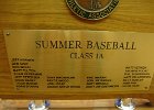 #495A/492: 1996, S = Track, State, Participant Summer (boys) Baseball  Class 1A , High School