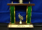 #653/984: 2008, S = Dance, State, ISD/DTA  5th Place  Class I  Pom (photo trophy), High School
